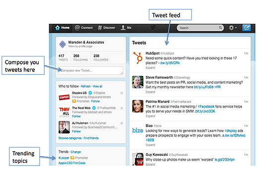 Twitter Home View