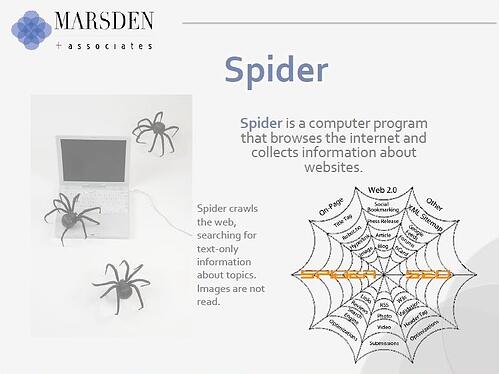 Spider, SEO, Inbound marketing