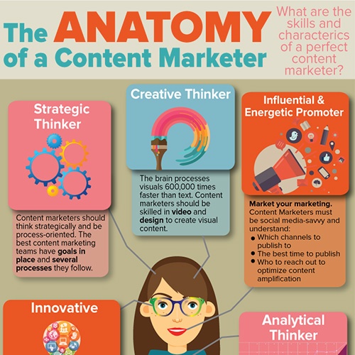 Image result for What Does Marketing Do? A Comprehensive Overview infographics
