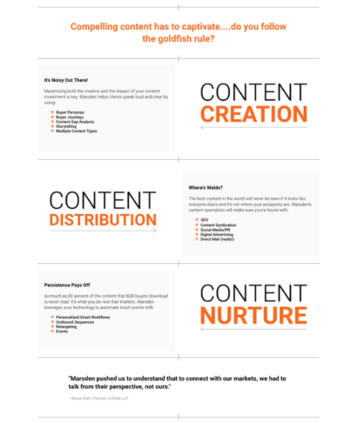 bold imagery web design trend