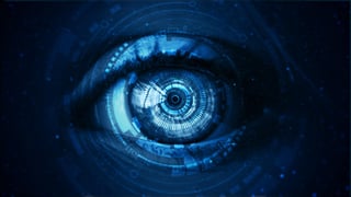 Website design trends 2020